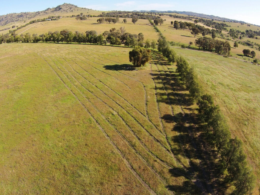 Shelterbelts and direct seeding revegetation on farmland