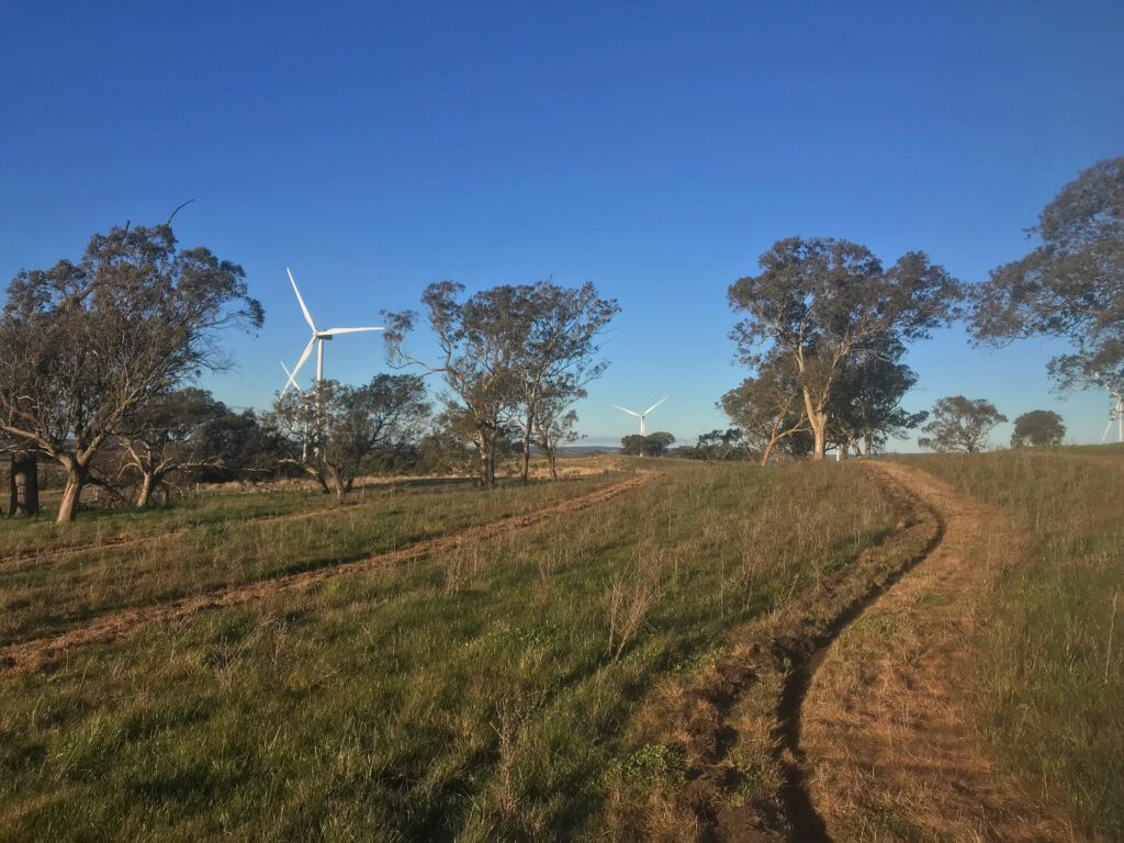 Multi-purpose revegetation project in agricultural landscape